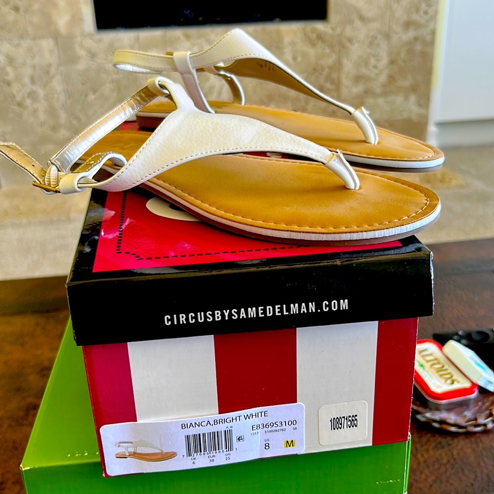 Sam Edelman circus